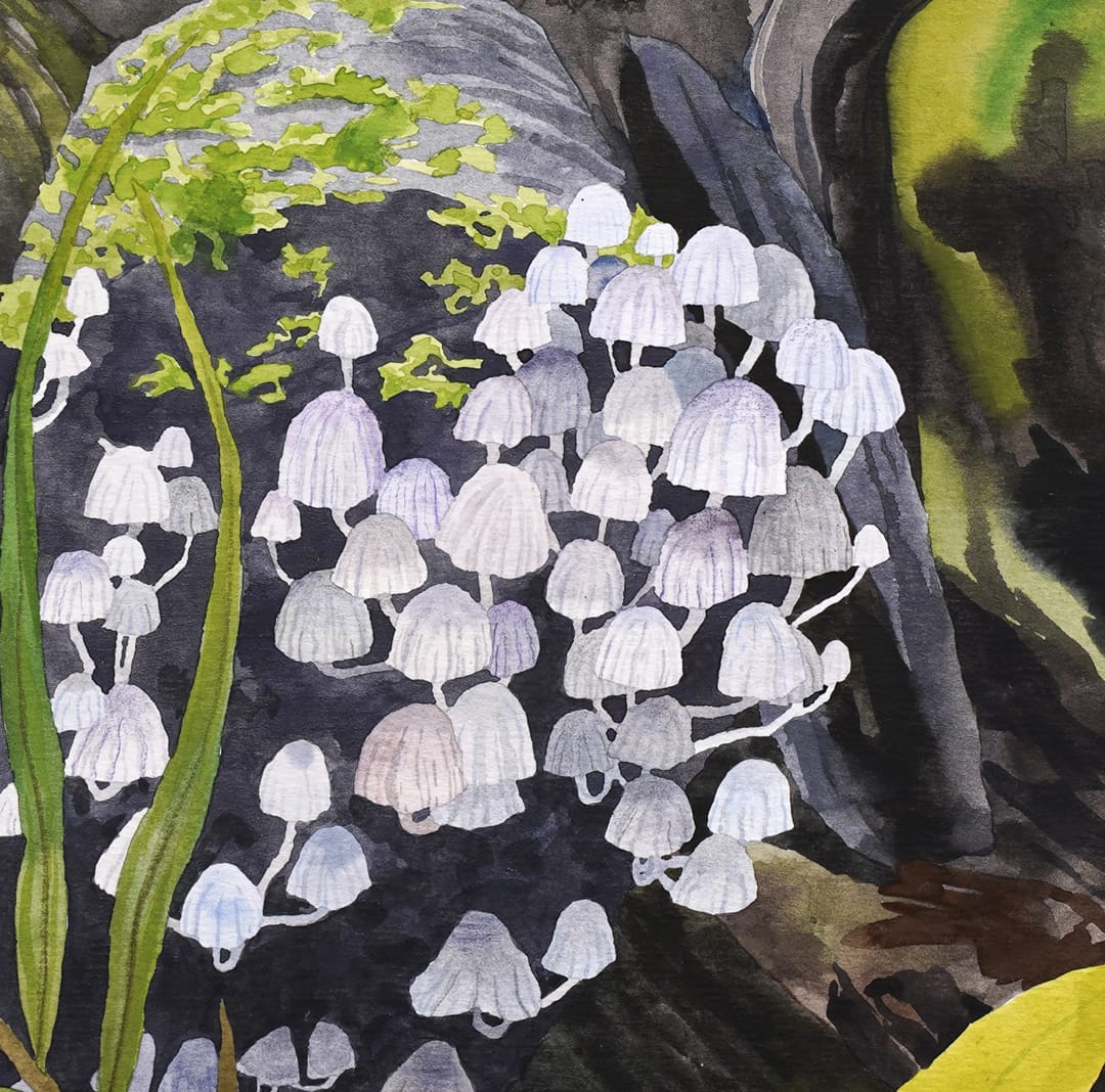 Fungi Family Original Painting by Emma Huia Lovegrove