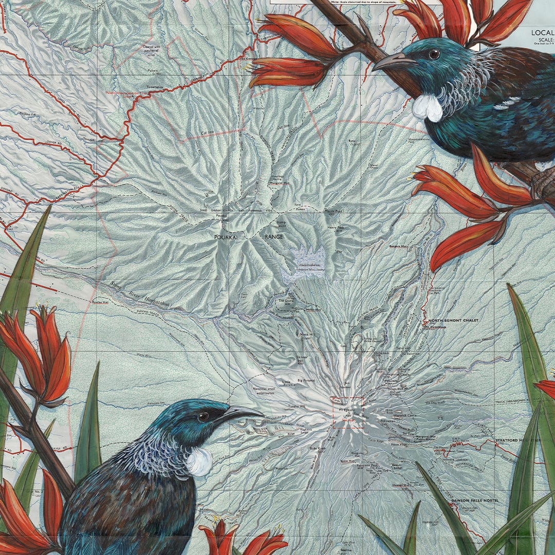 Taranaki Summit Art Print by Justine Hawksworth