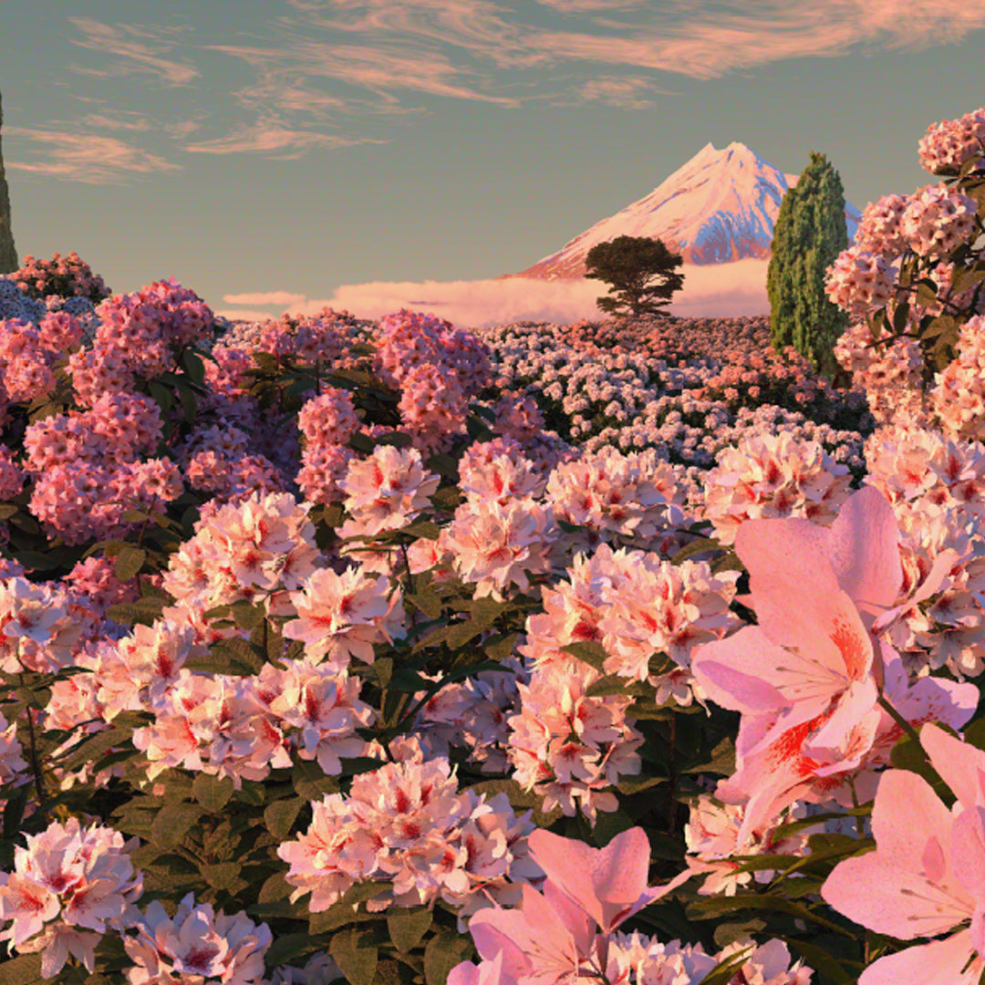 Rhododendron Dawn Art Print by Simon Stockley