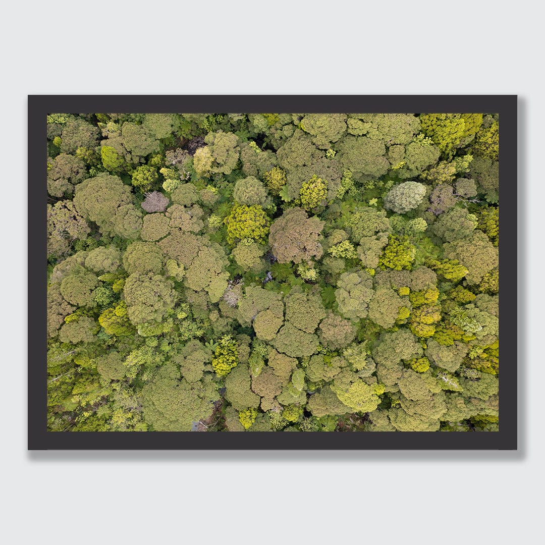 Green Your Greens Photographic Print by Jeremy Cole