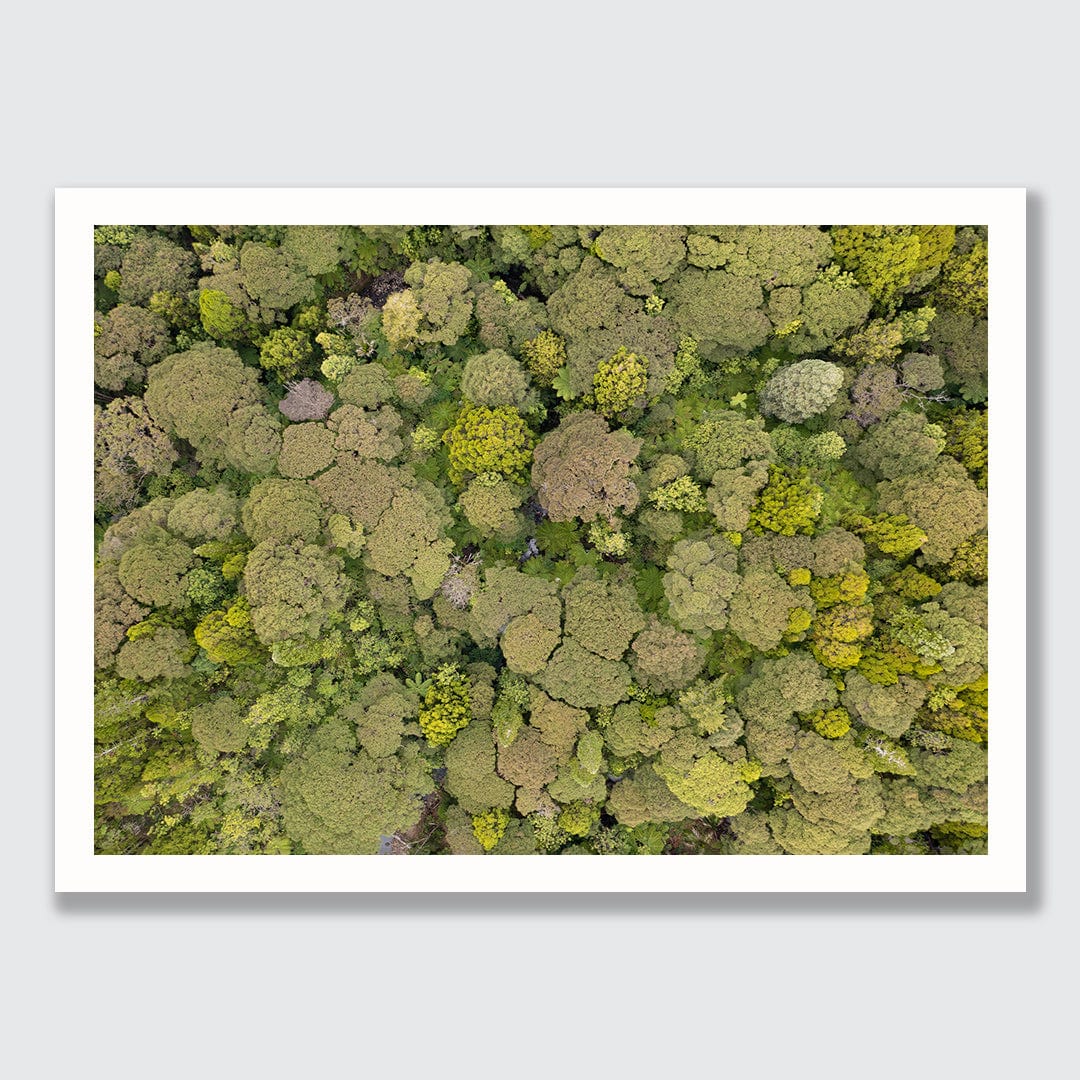 Green Your Greens Photographic Print by Jeremy Cole