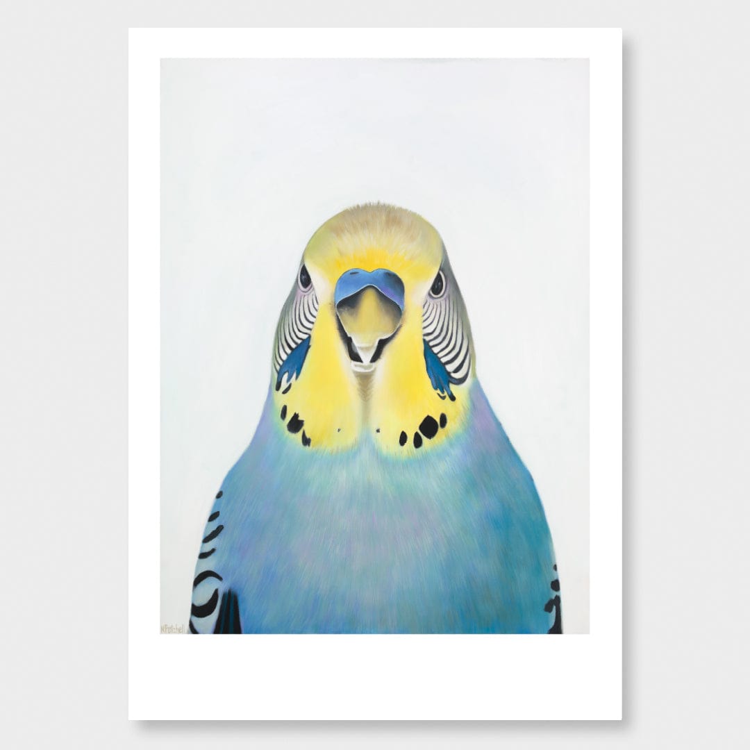 Edgar Budgie Art Print by Margaret Petchell