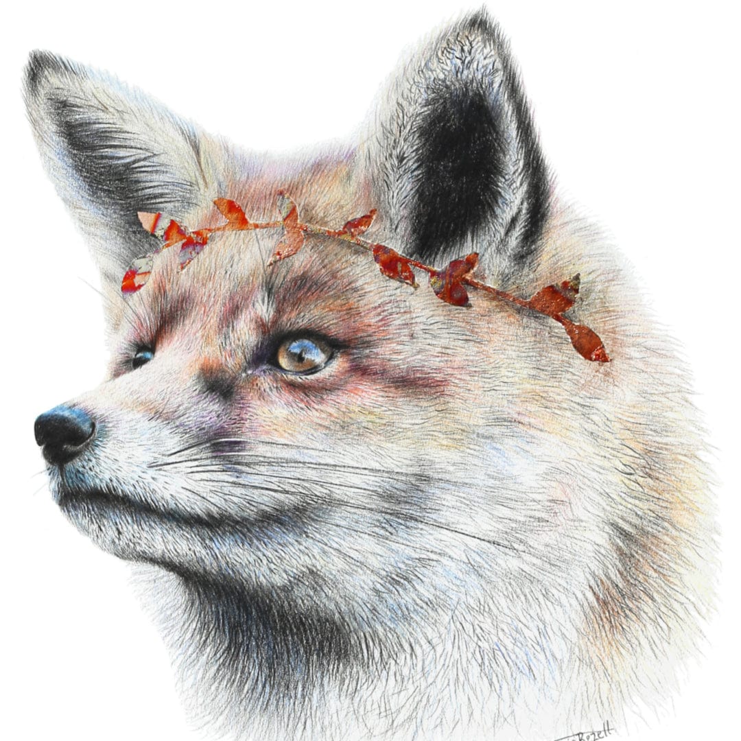 Fox Art Print by Olivia Bezett