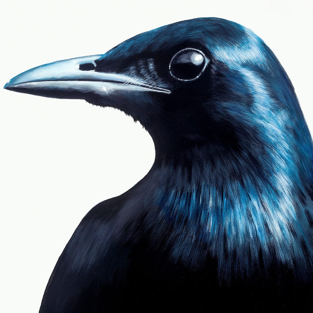 Frank The Blackbird Art Print by Margaret Petchell