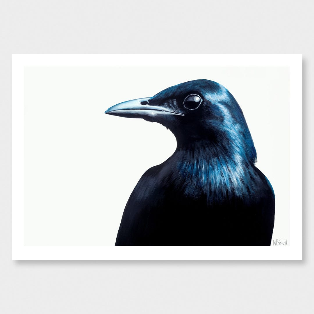 Frank The Blackbird Art Print by Margaret Petchell