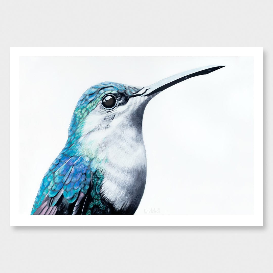 Gerald Hummingbird Art Print by Margaret Petchell