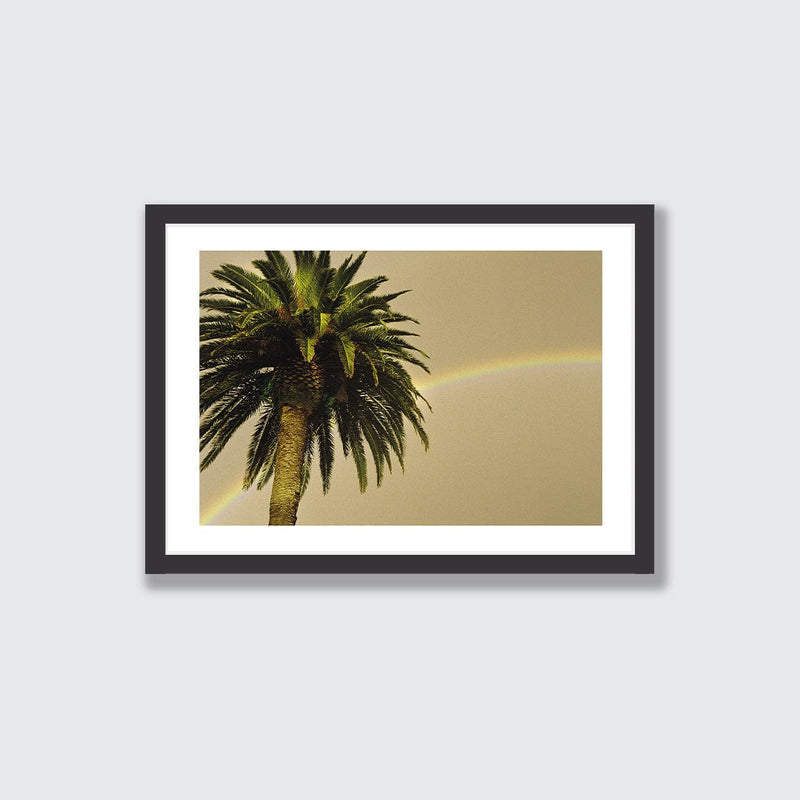 Photography & Photographic Art Prints - endemicworld