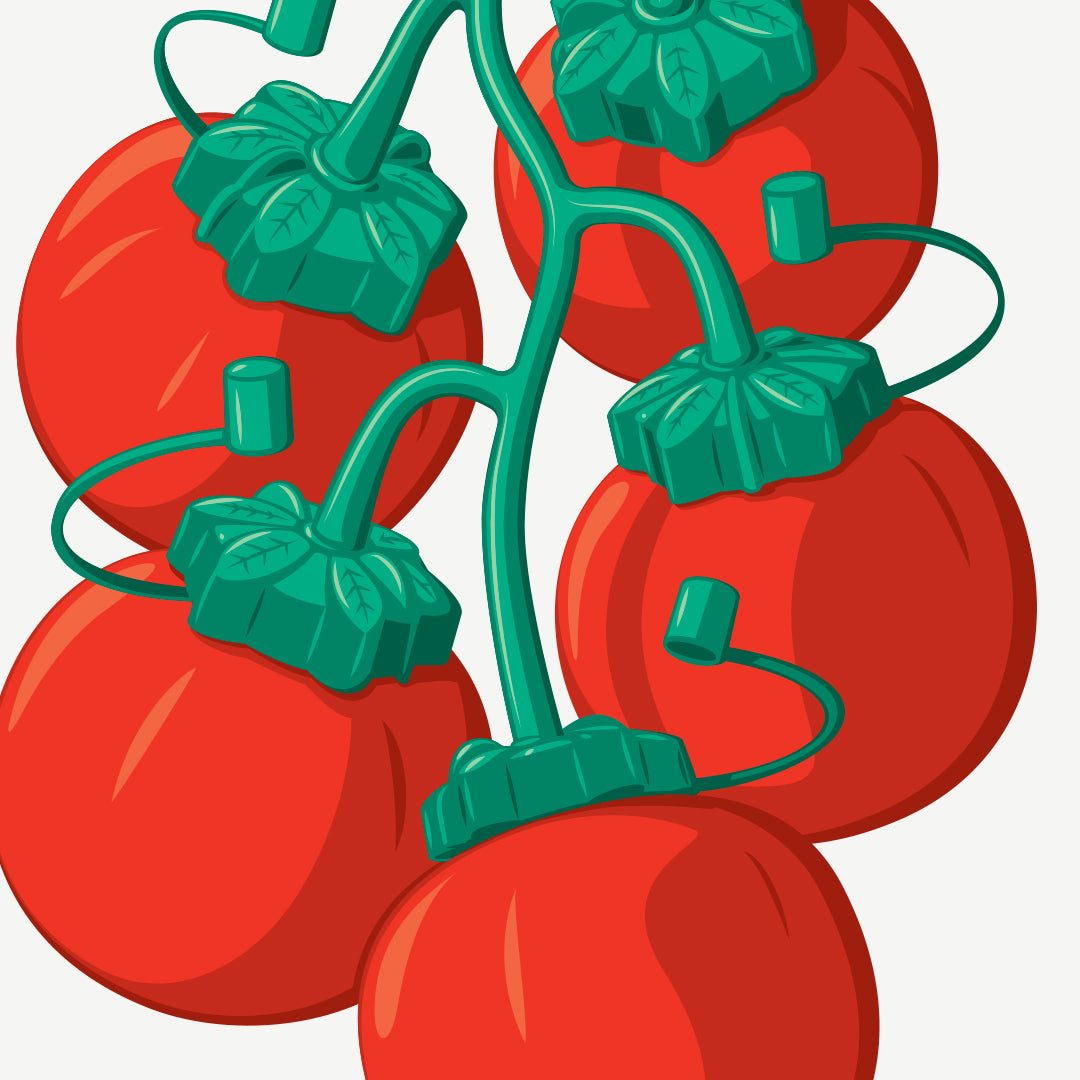 Fresh Off The Vine Art Print by Glenn Jones