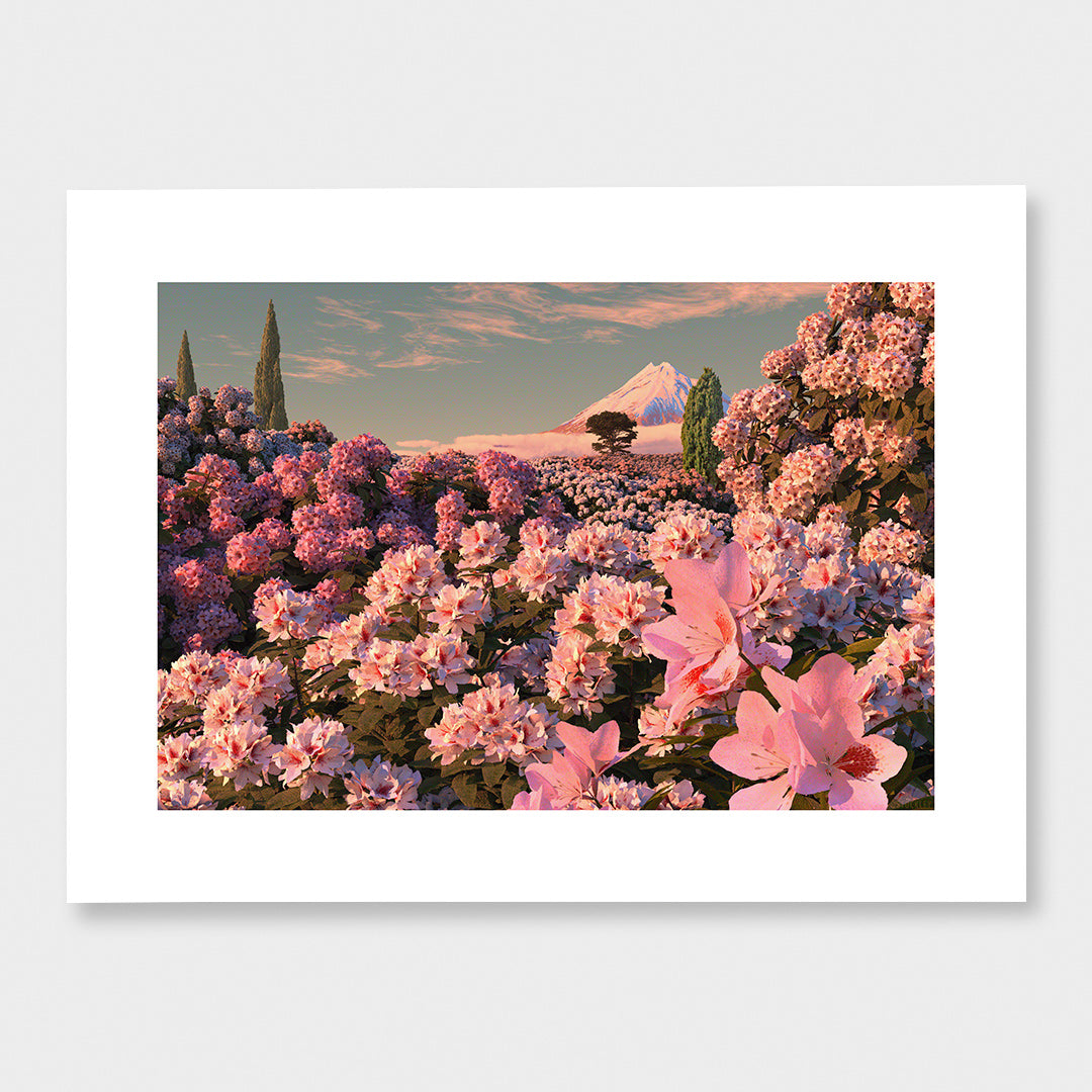 Rhododendron Dawn Limited Edition Canvas Print by Simon Stockley