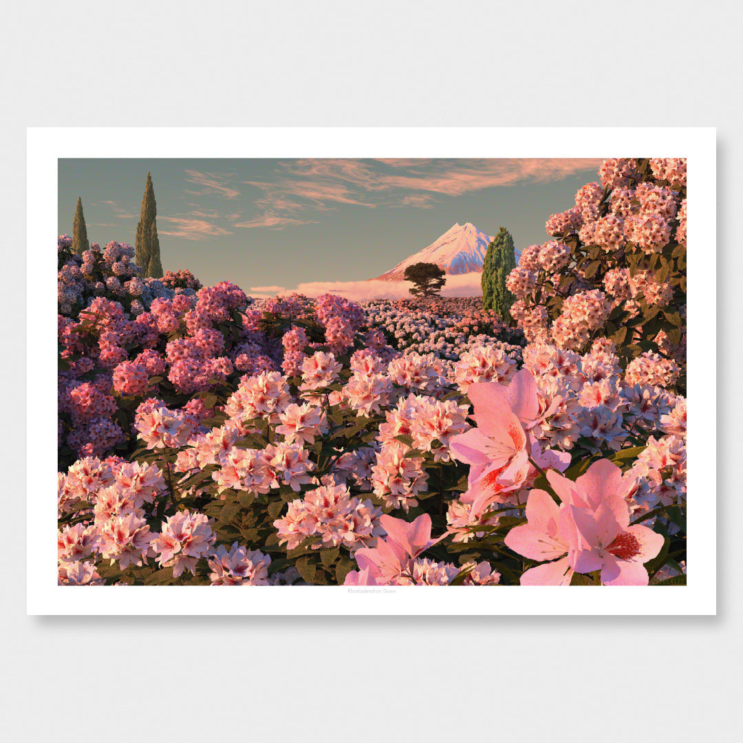 Rhododendron Dawn Art Print by Simon Stockley