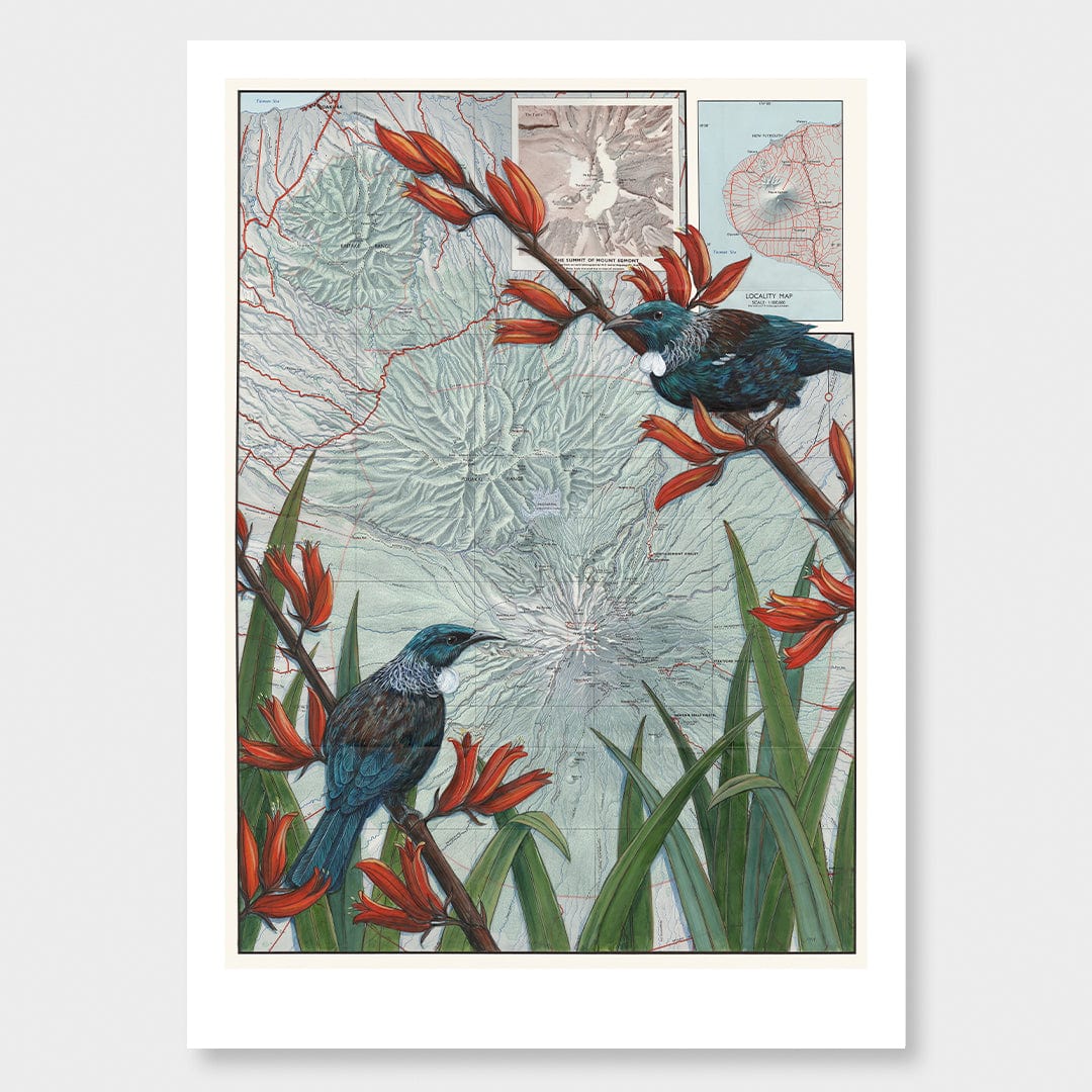 Taranaki Summit Art Print by Justine Hawksworth