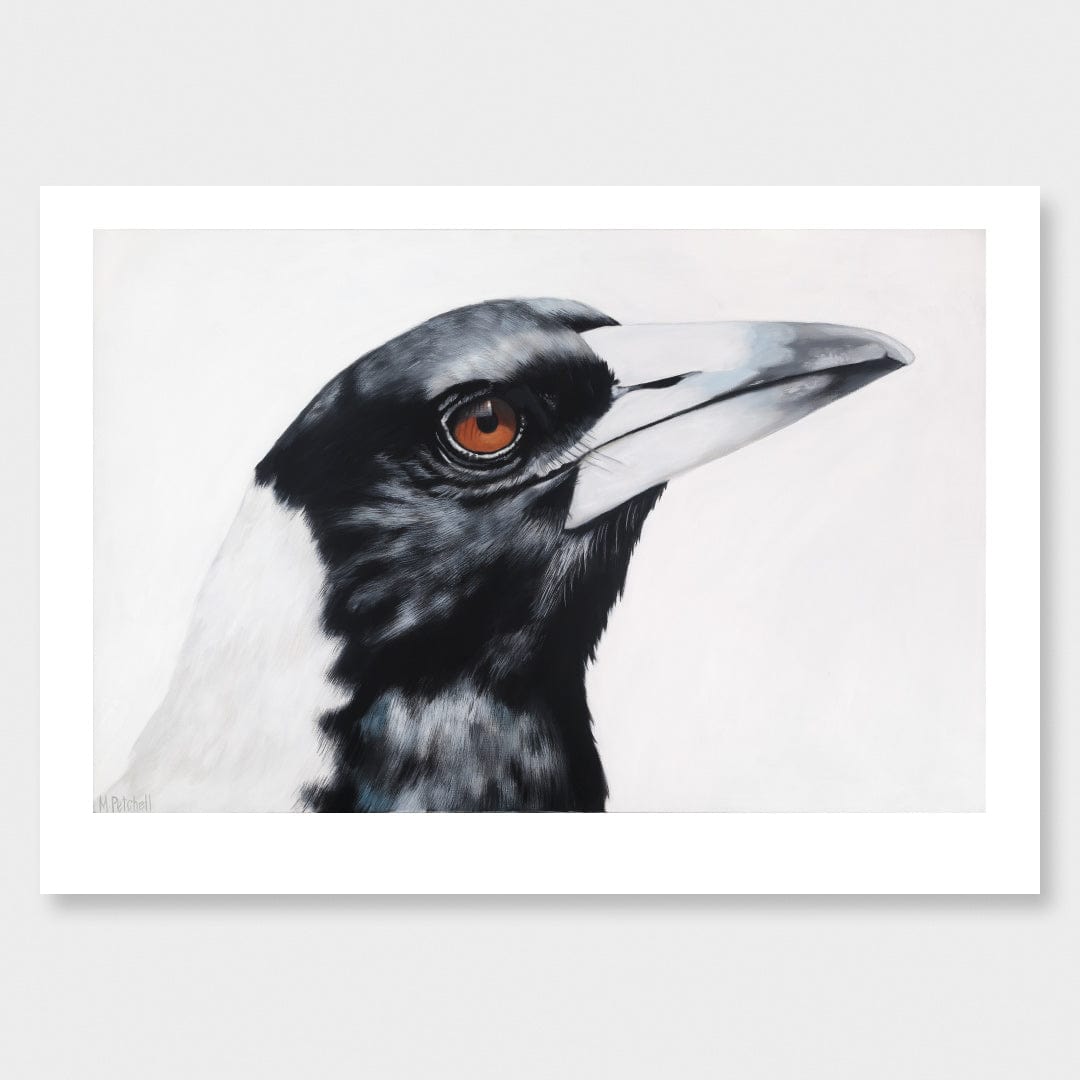 Maycee Magpie Art Print by Margaret Petchell