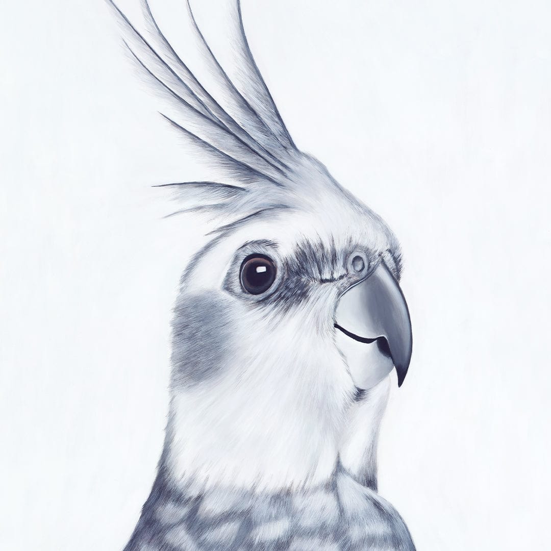 Mr Perkins Cockatiel Art Print by Margaret Petchell