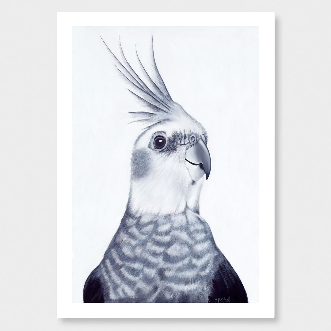 Mr Perkins Cockatiel Art Print by Margaret Petchell