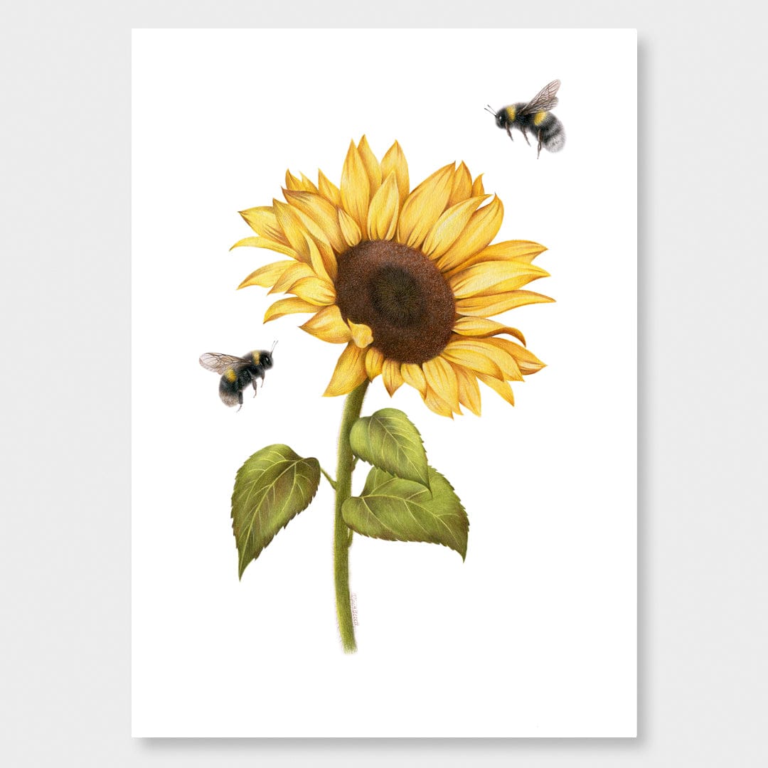 Sunflower and Bees Art Print by Olivia Bezett