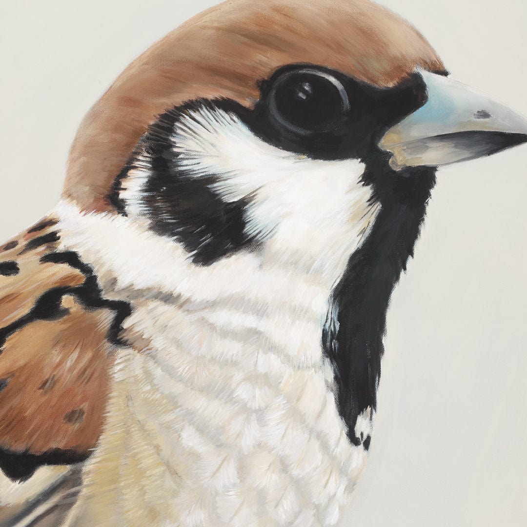 Nyla Sparrow Art Print by Margaret Petchell