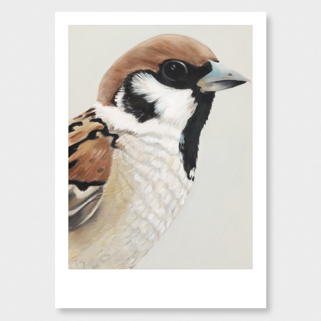 Nyla Sparrow Art Print by Margaret Petchell