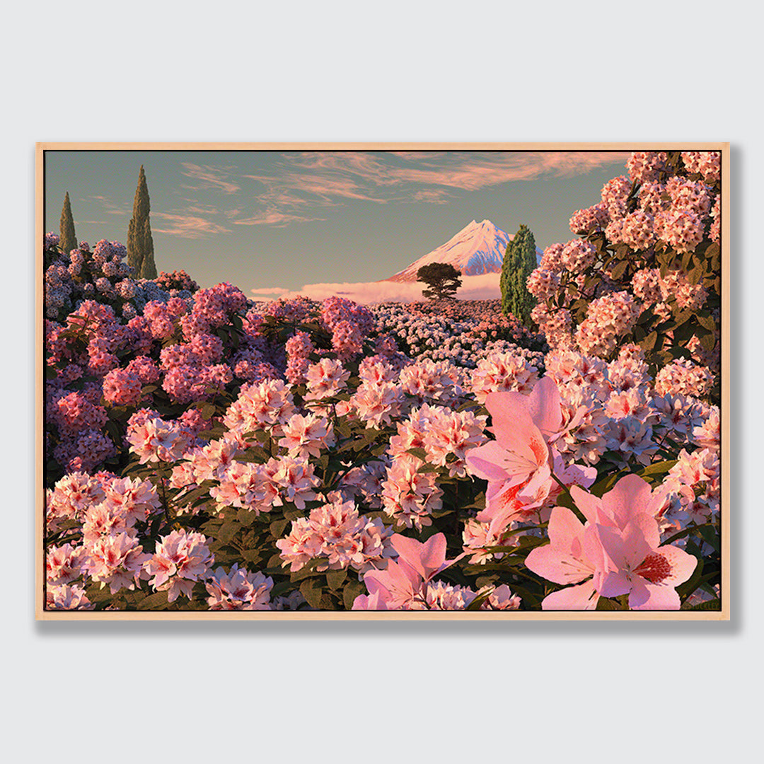 Rhododendron Dawn Limited Edition Canvas Print by Simon Stockley