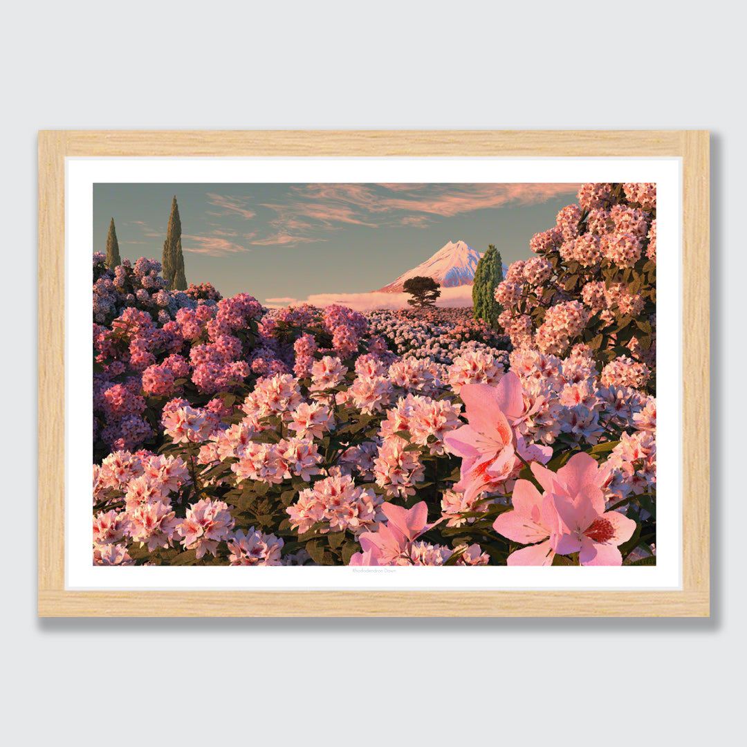 Rhododendron Dawn Art Print by Simon Stockley