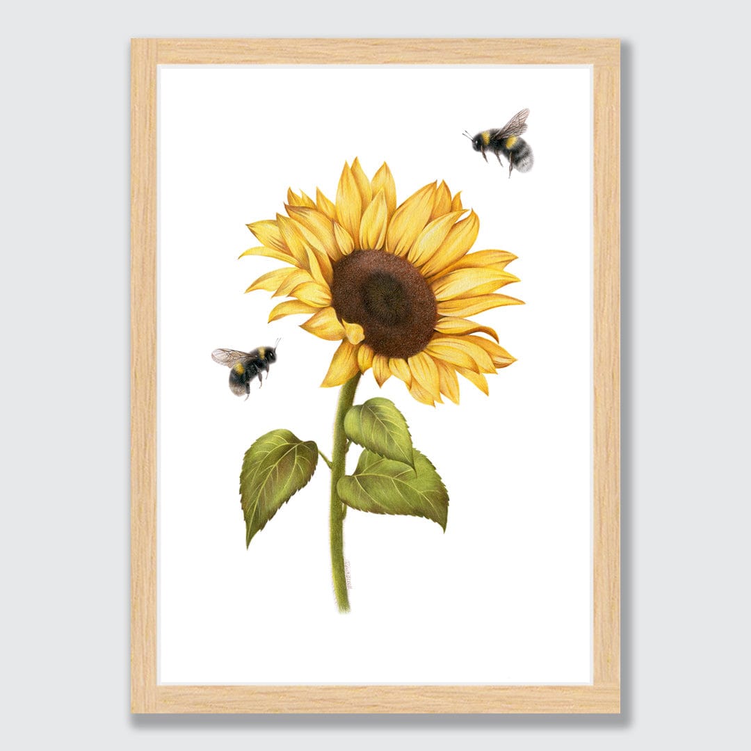 Sunflower and Bees Art Print by Olivia Bezett