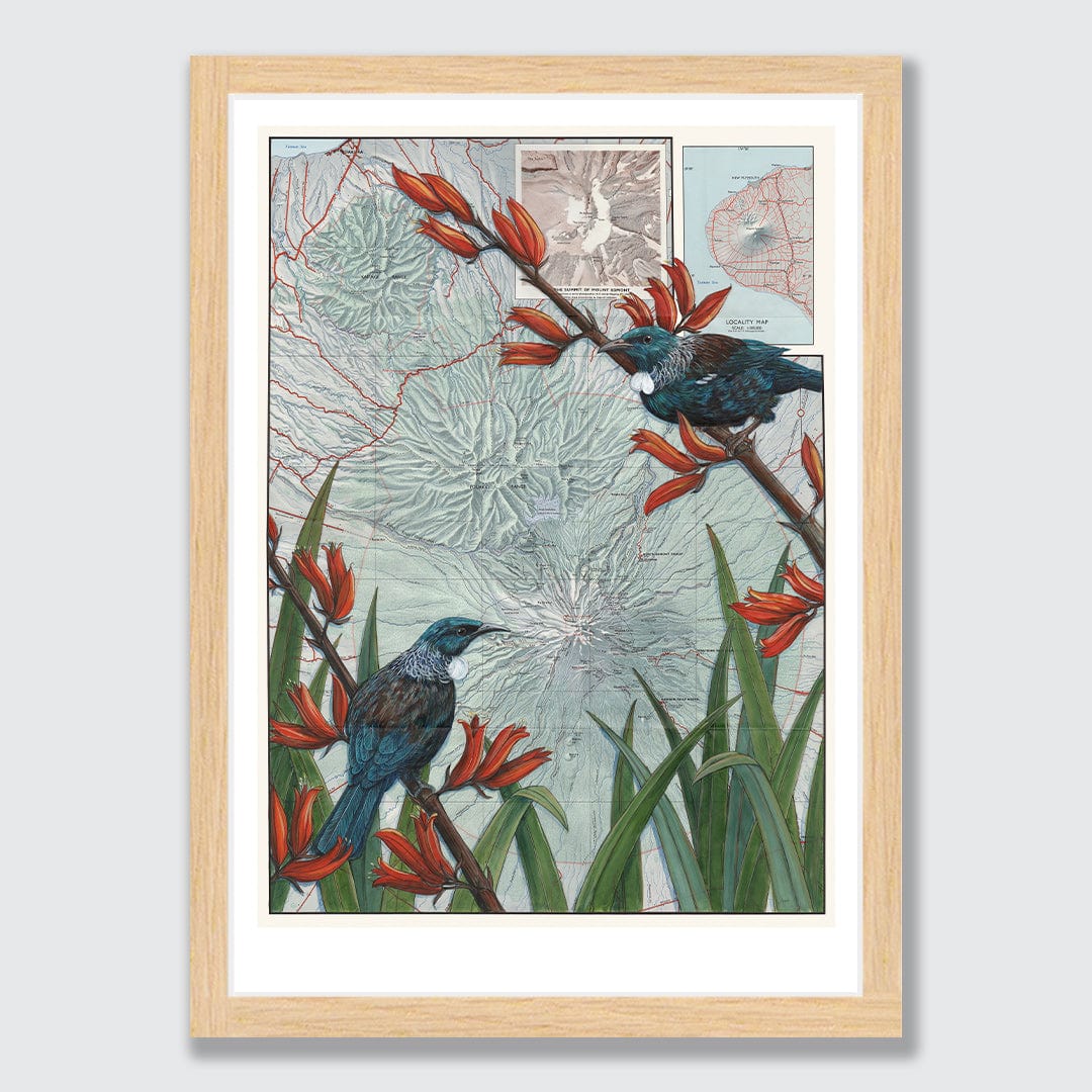 Taranaki Summit Art Print by Justine Hawksworth