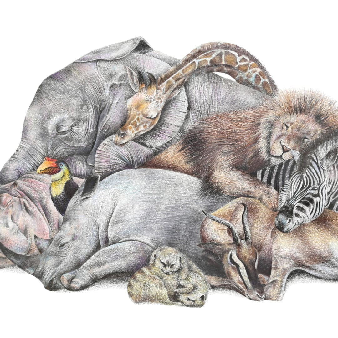 Safari Sleepers Art Print by Olivia Bezett