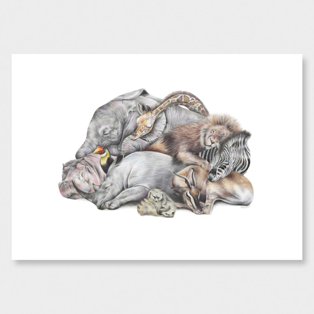 Safari Sleepers Art Print by Olivia Bezett