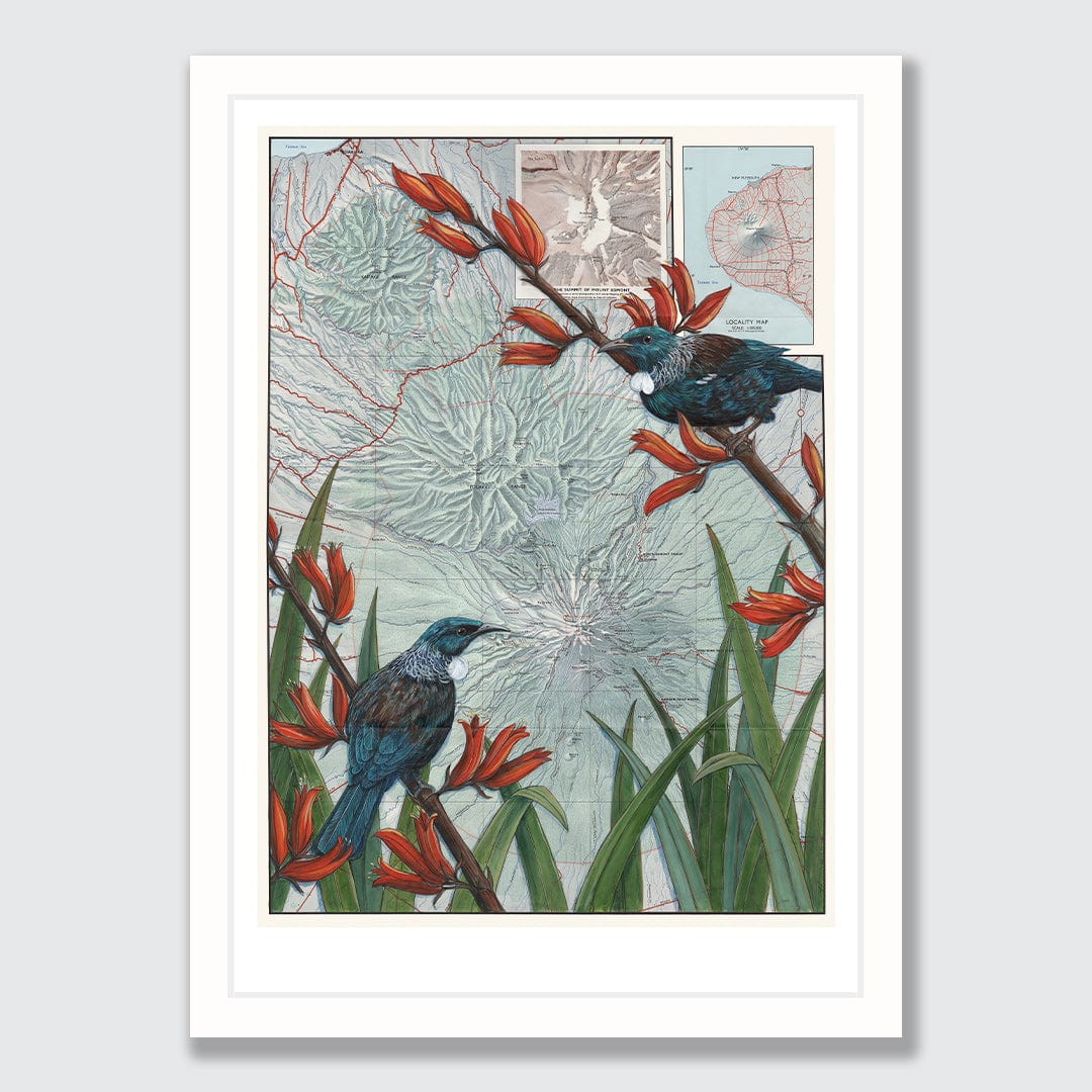 Taranaki Summit Art Print by Justine Hawksworth