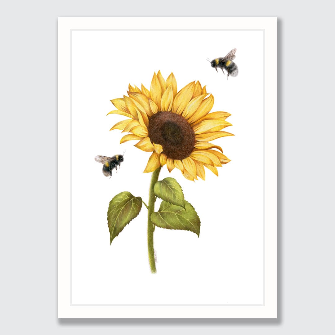 Sunflower and Bees Art Print by Olivia Bezett