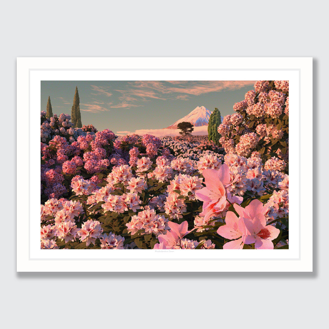 Rhododendron Dawn Art Print by Simon Stockley