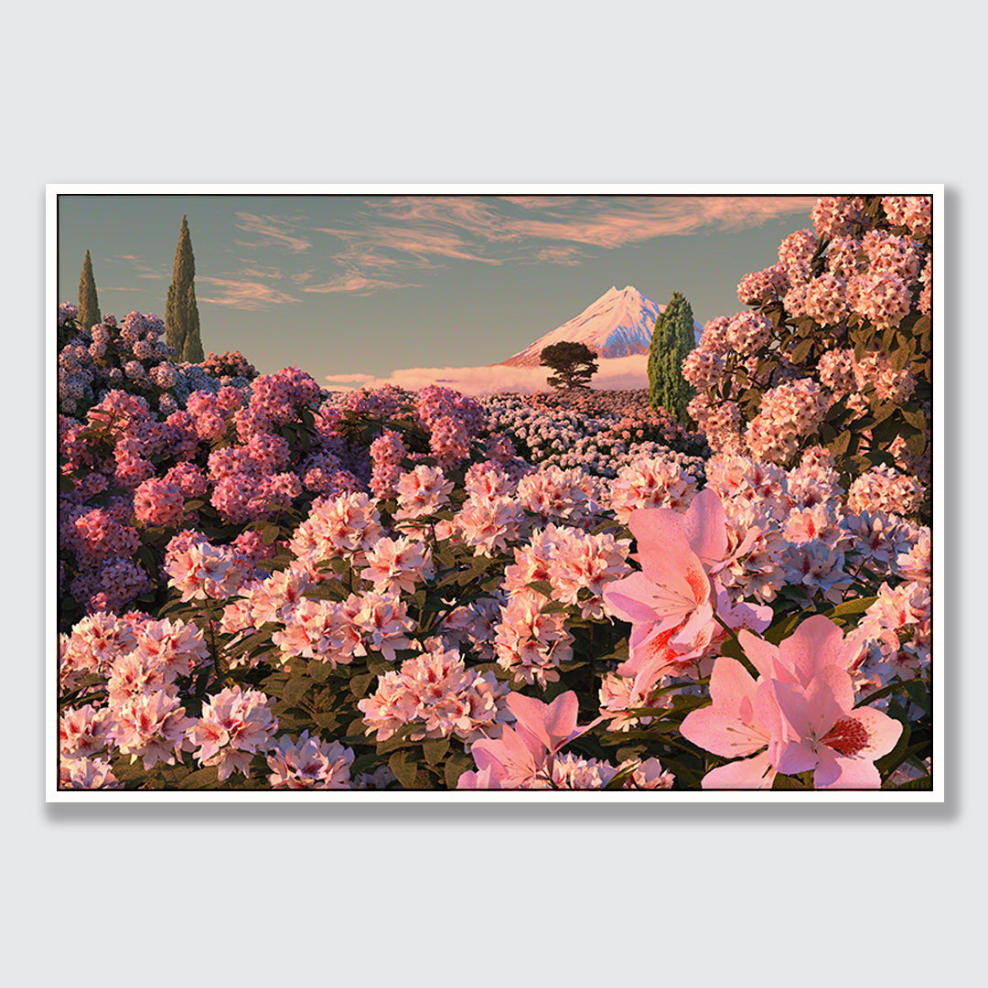 Rhododendron Dawn Limited Edition Canvas Print by Simon Stockley