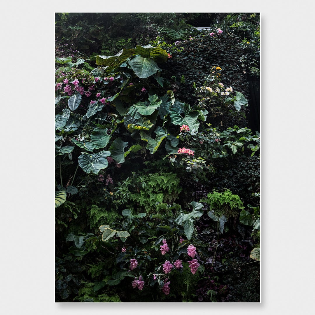 Alchemy II Limited Edition Photographic Print by Amy Wybrow