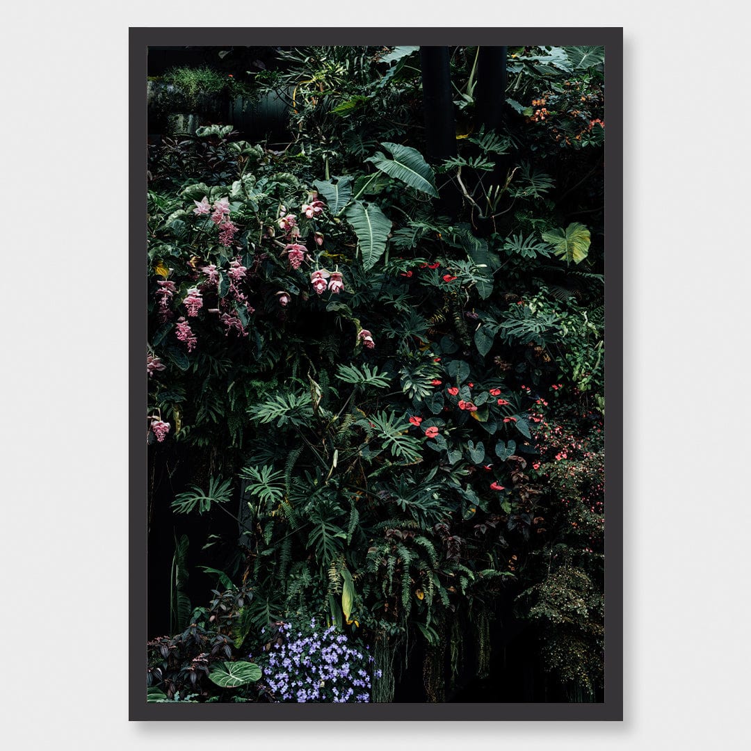 Alchemy I Limited Edition Photographic Print by Amy Wybrow