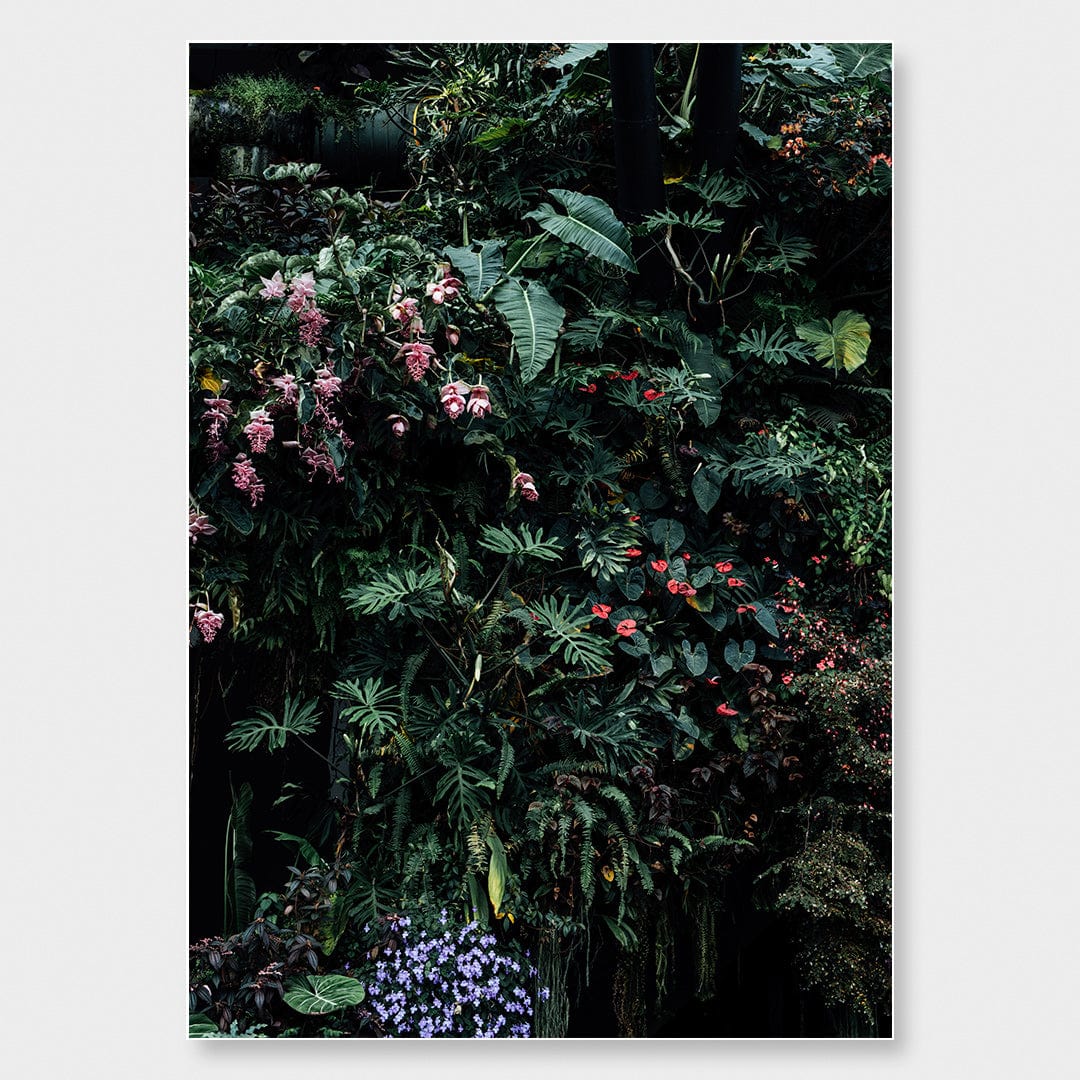 Alchemy I Limited Edition Photographic Print by Amy Wybrow