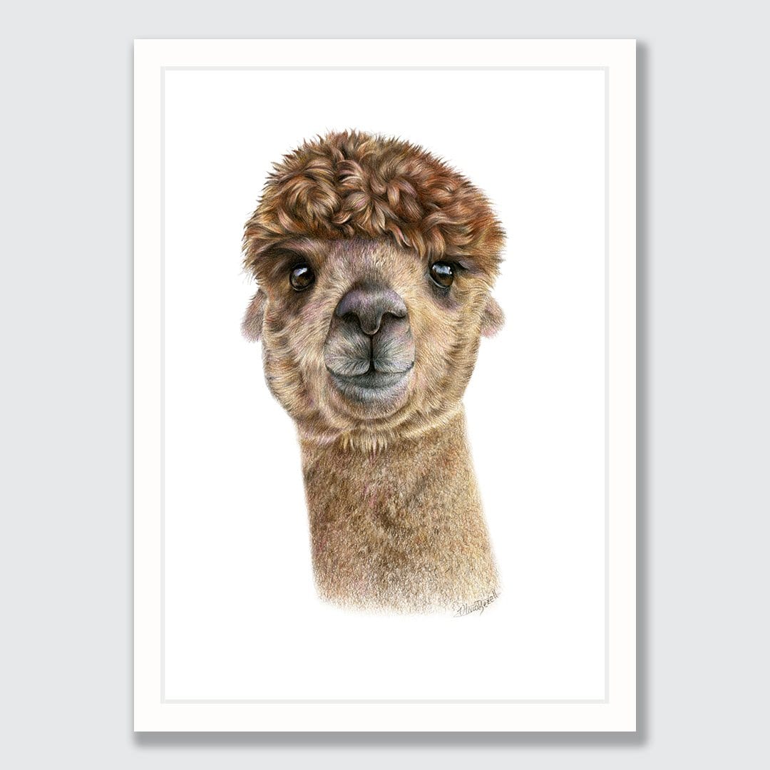 Alpaca Art Print by Olivia Bezett