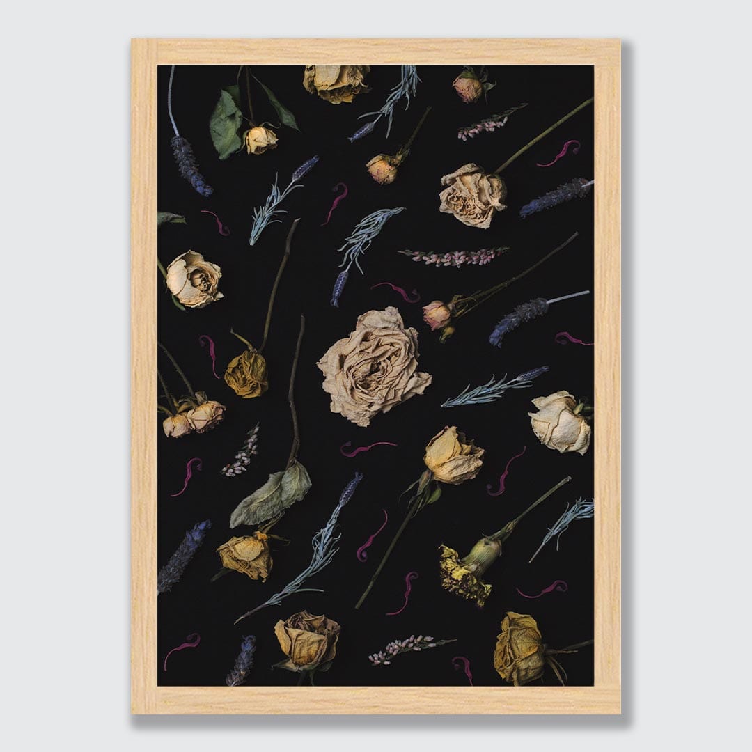 Aphrodite Photographic Print by Maegan McDowell