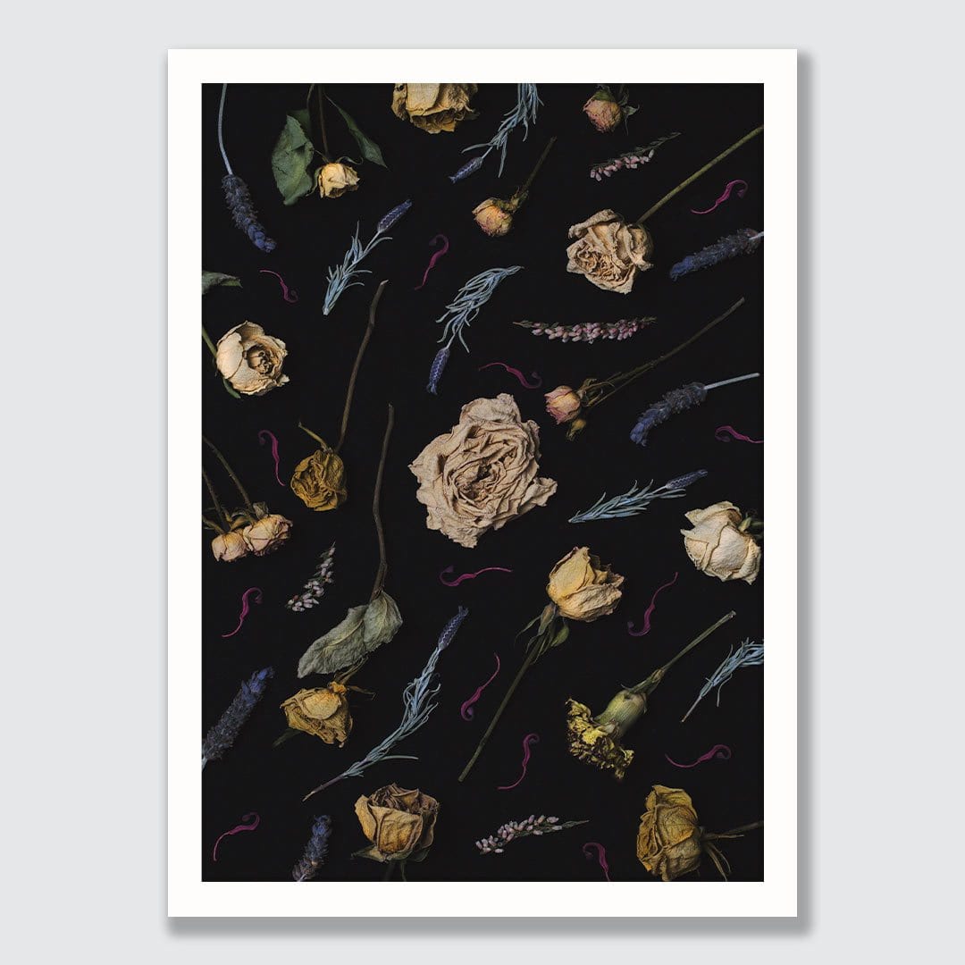 Aphrodite Photographic Print by Maegan McDowell