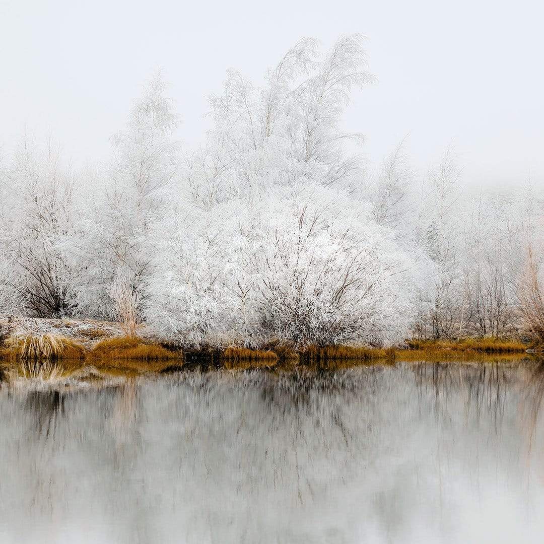 Be Still Photographic Print by Emma Willetts