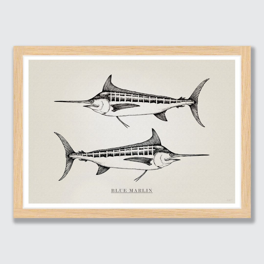 Blue Marlin Art Print by Nathan Miller