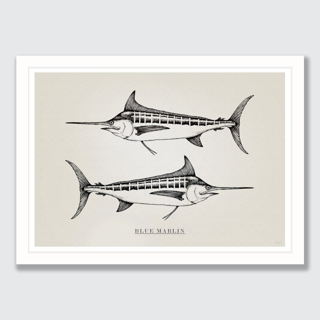 Blue Marlin Art Print by Nathan Miller