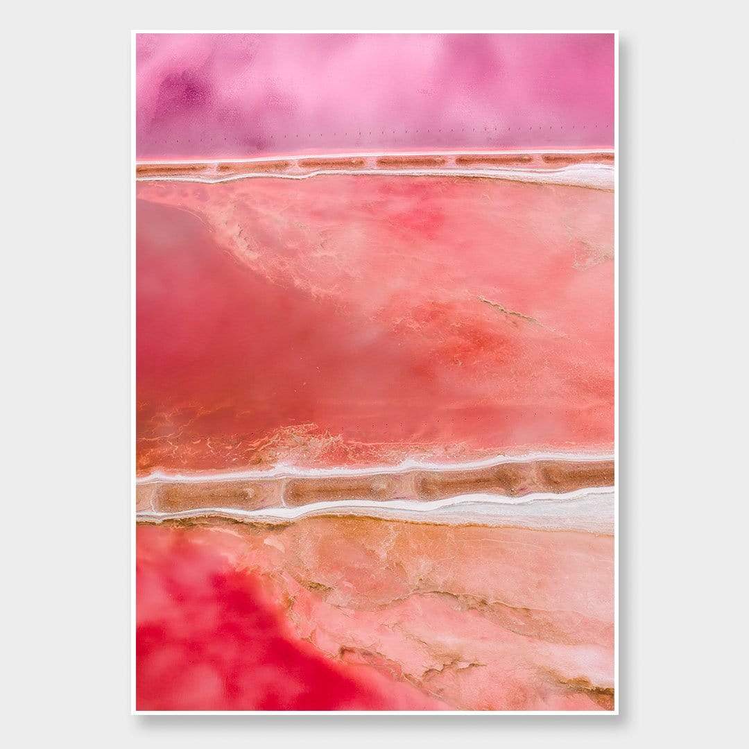 Bones Photographic Print by Emma Willetts