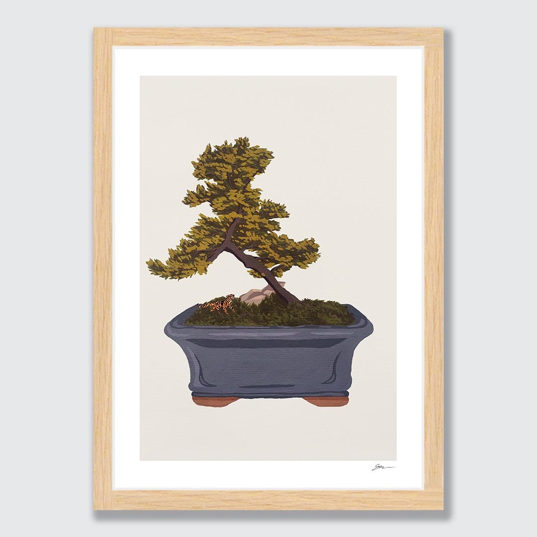 Bonsai Tiger IV Art Print by Grace Popplewell