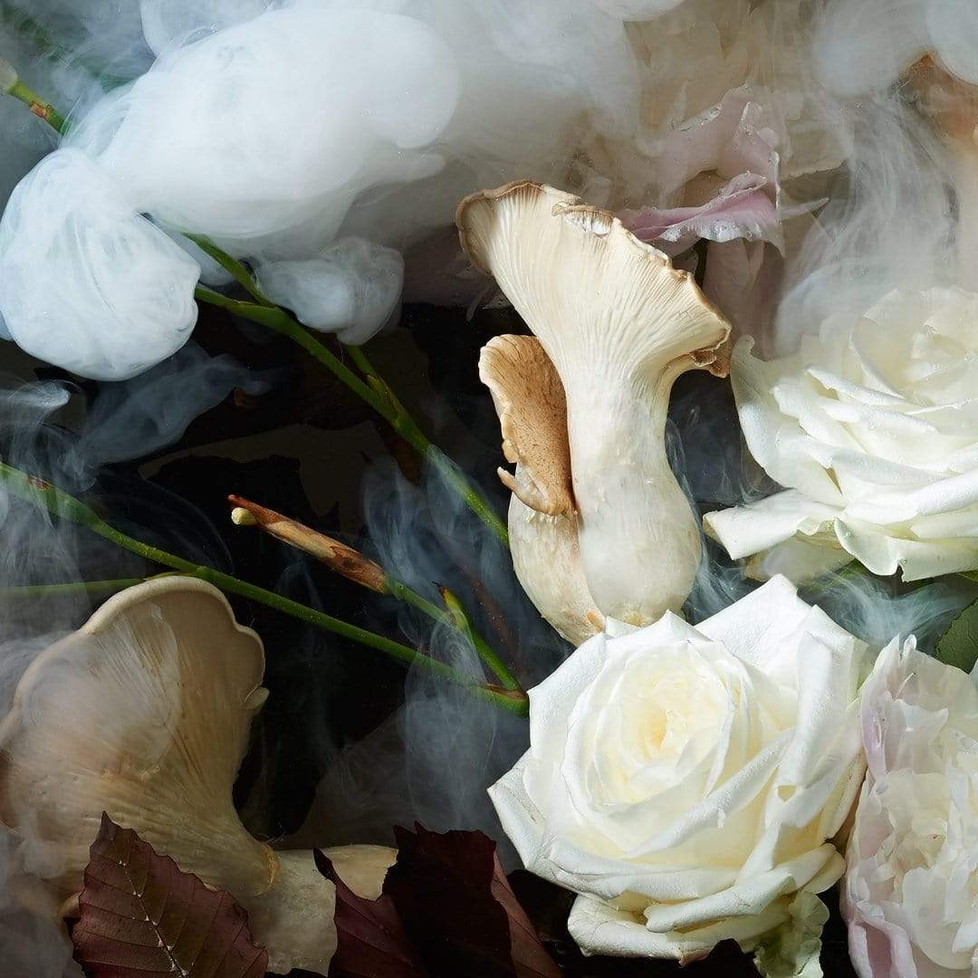 Botanical Abyss Photographic Print by Georgie Malyon