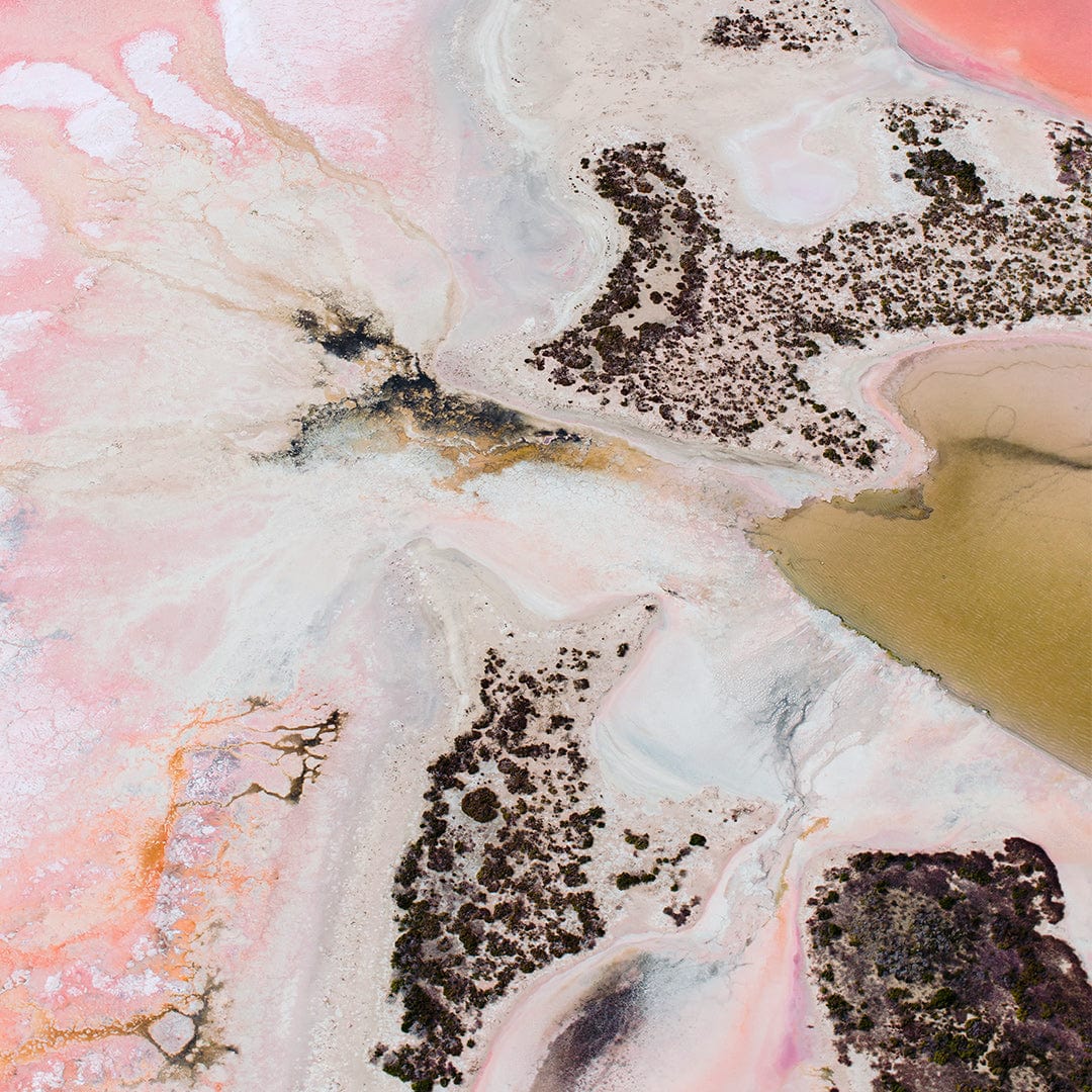Bubblegum Photographic Print by Emma Willetts