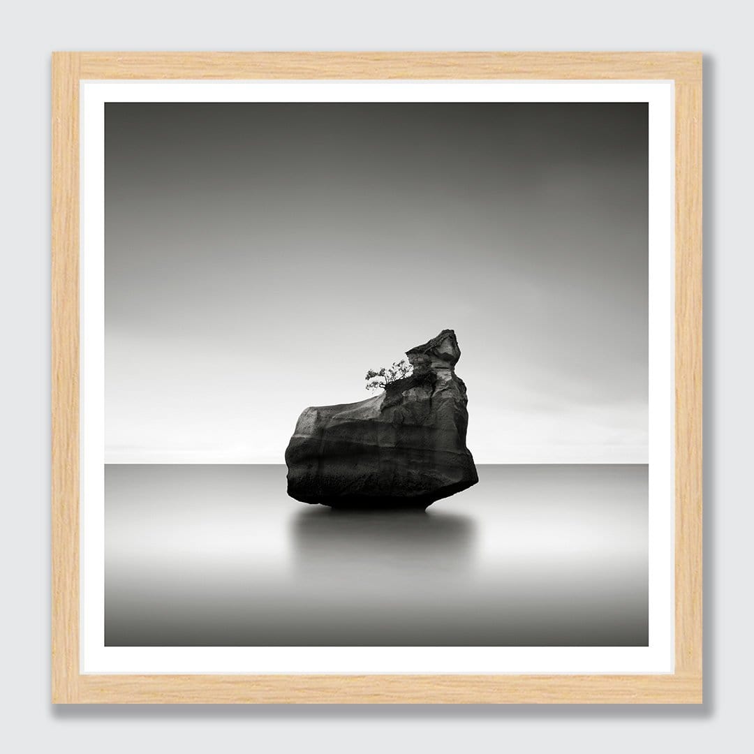 Cathedral Cove Photographic Art Print by Jeremy Senior