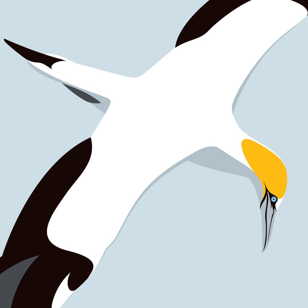 Coastwatch Art Print by Glenn Jones