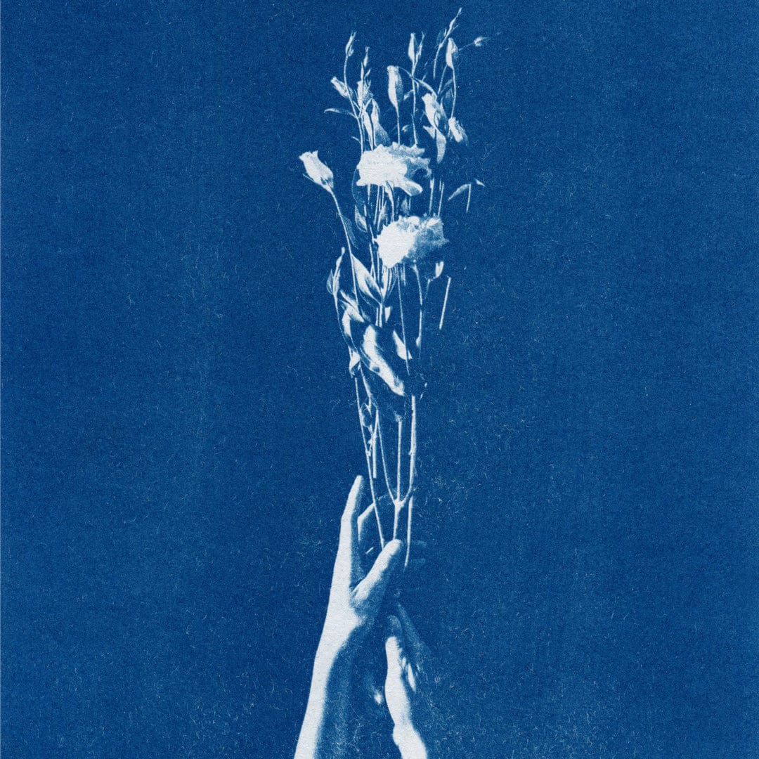 Chiaroscuro Lisianthus Limited Edition Cyanotype by Sophia Jenny