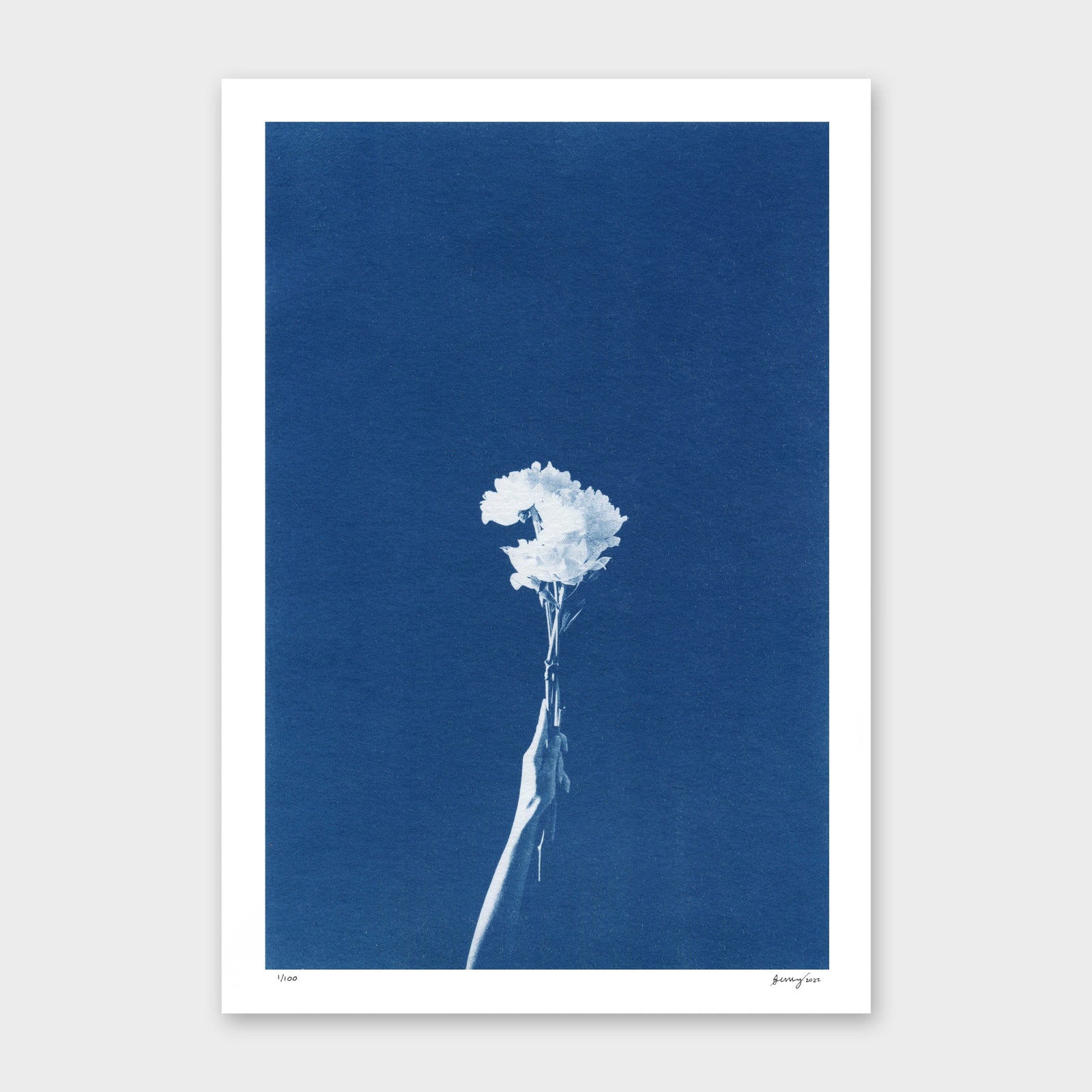 Chiaroscuro Peonies Limited Edition Cyanotype by Sophia Jenny