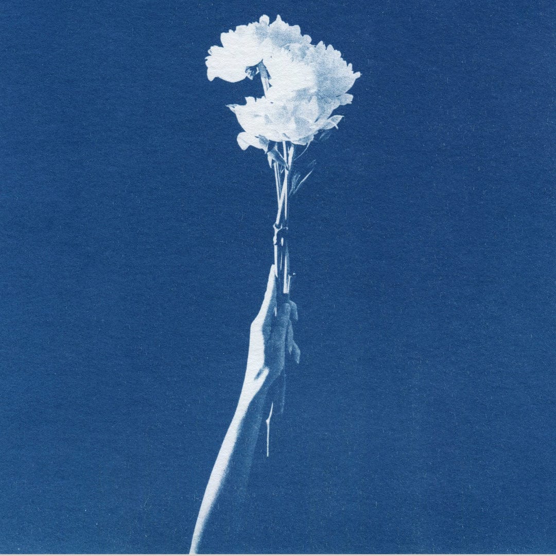 Chiaroscuro Peonies Limited Edition Cyanotype by Sophia Jenny
