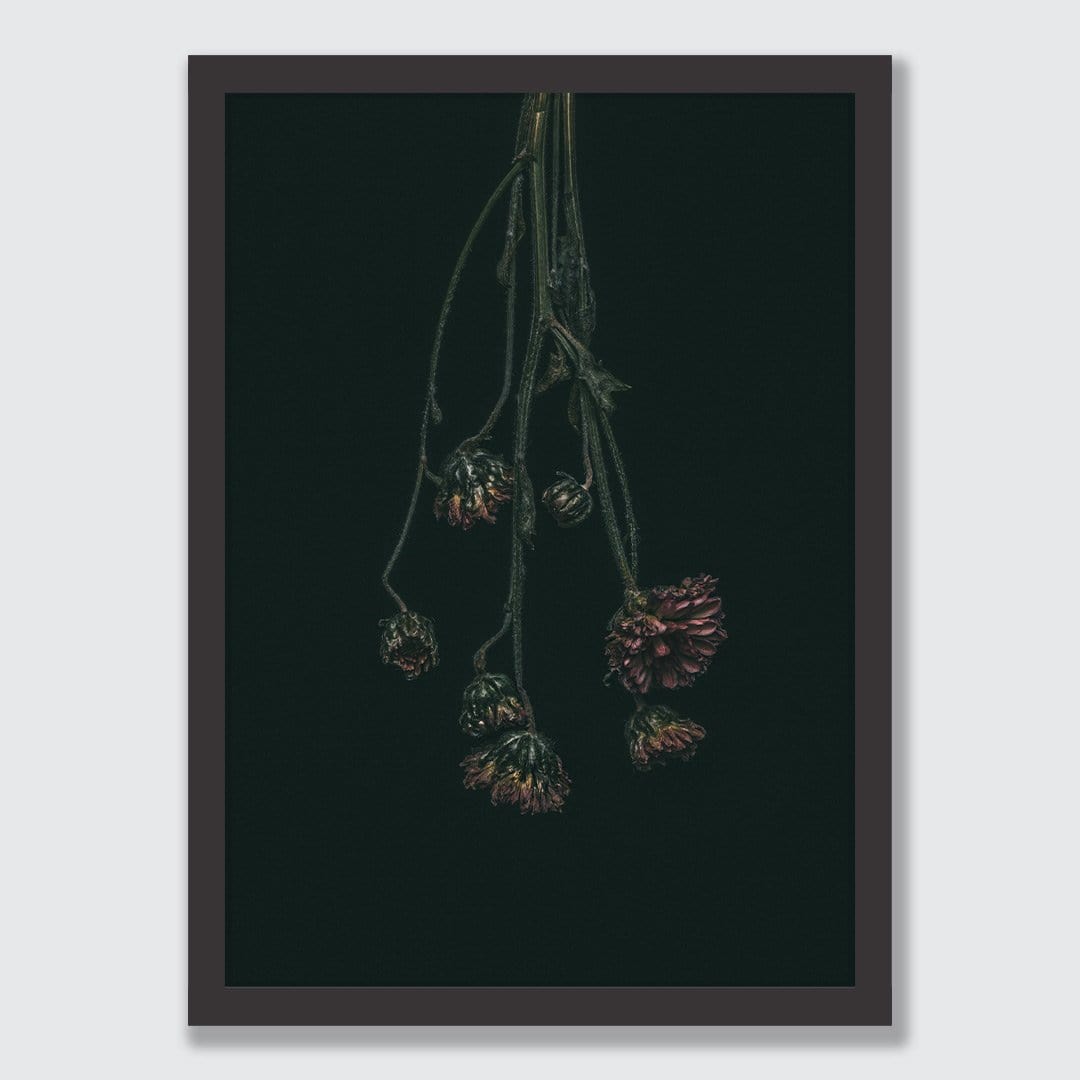 Chrysanthemum Photographic Print by Maegan McDowell